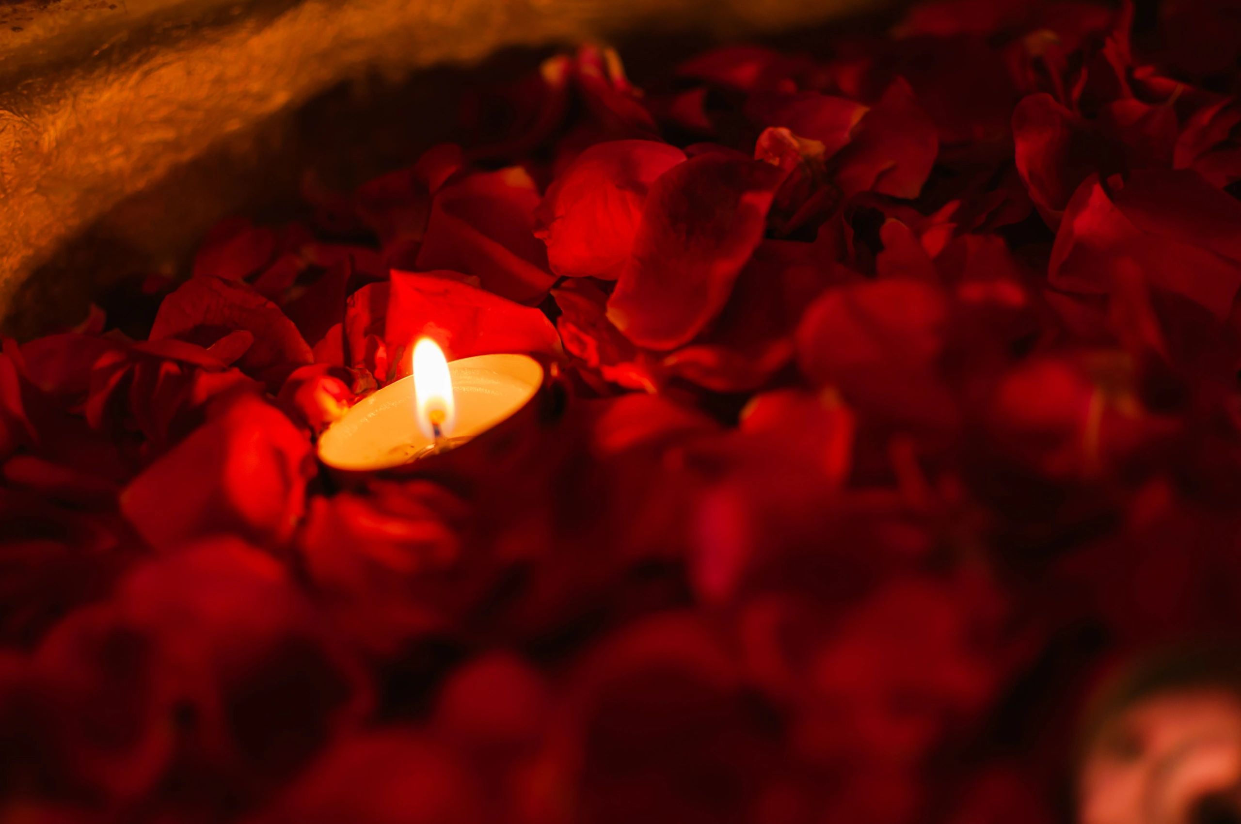 Eco-friendly handcrafted clay diyas arranged on petals