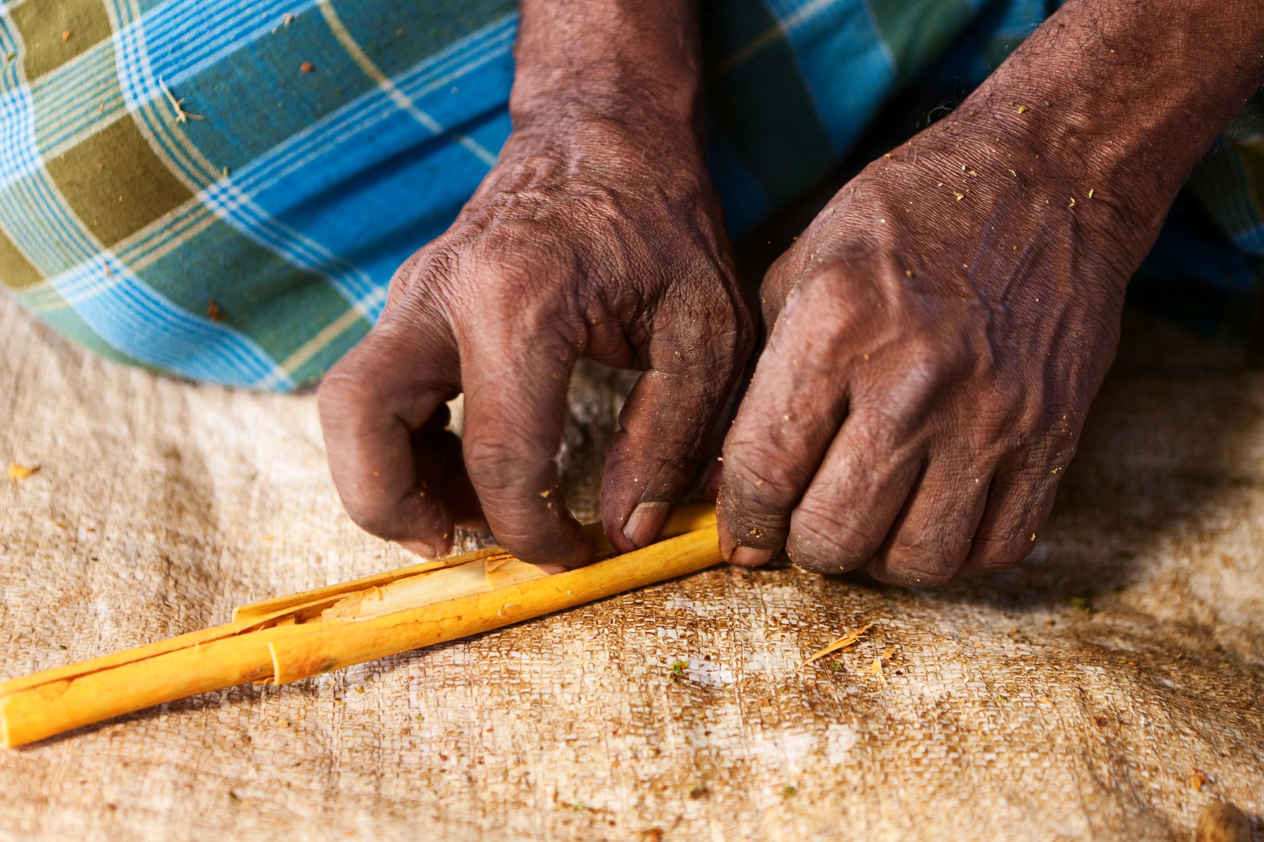 Artisan preparing natural materials by hand
